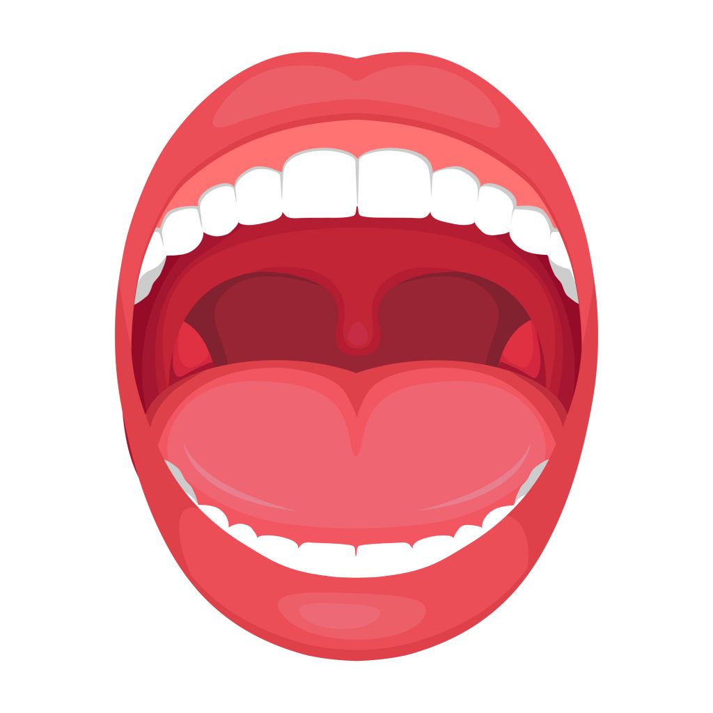 how-can-knowing-parts-of-mouth-improve-oral-care-dr-jennifer-hoang